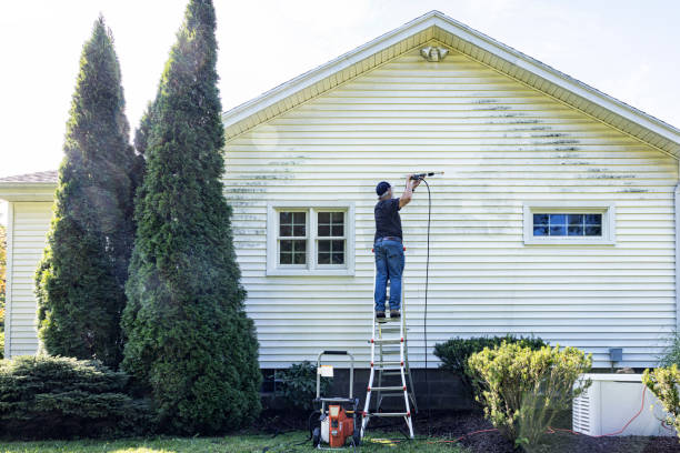 Best Soft Washing for Delicate Surfaces in Nora Springs, IA